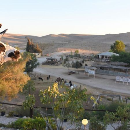 Alpaca Farm - חוות האלפקות Villa Mitzpe Ramon Eksteriør bilde