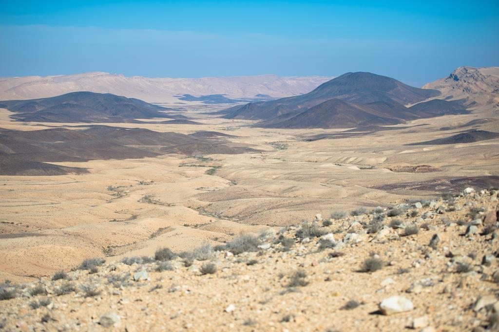 Alpaca Farm - חוות האלפקות Villa Mitzpe Ramon Eksteriør bilde