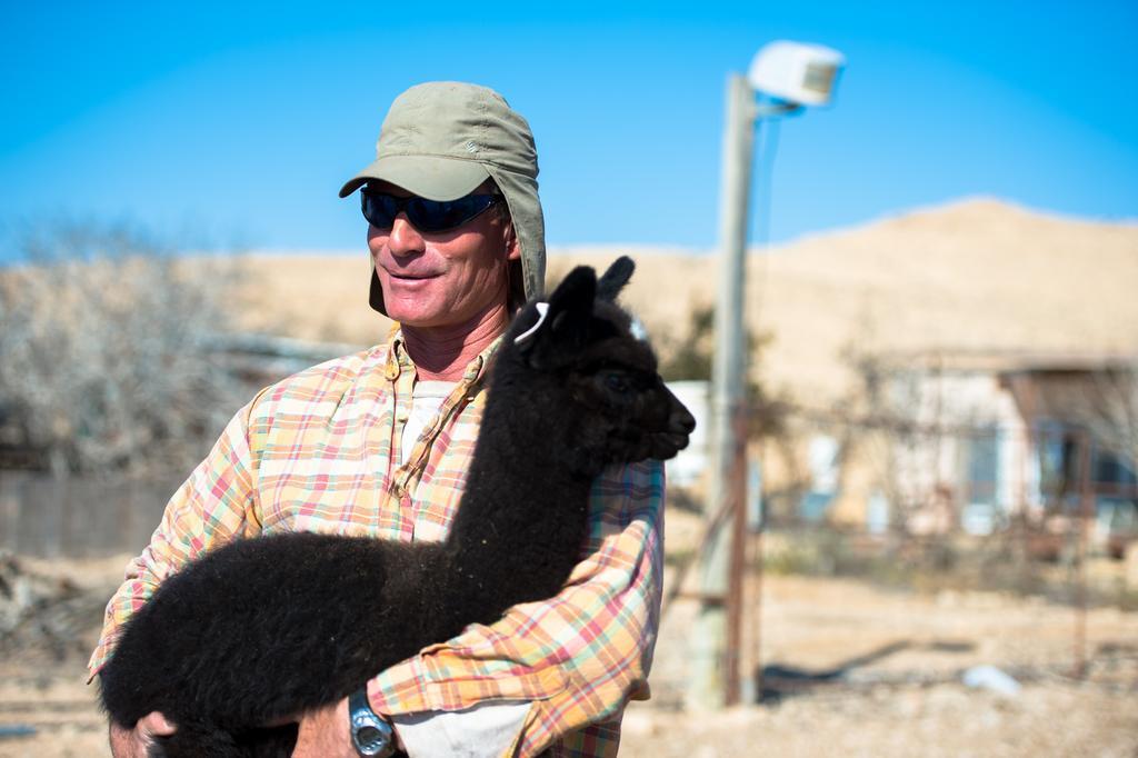 Alpaca Farm - חוות האלפקות Villa Mitzpe Ramon Eksteriør bilde