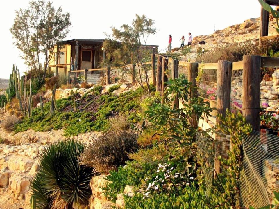 Alpaca Farm - חוות האלפקות Villa Mitzpe Ramon Eksteriør bilde