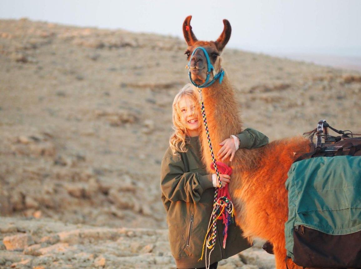 Alpaca Farm - חוות האלפקות Villa Mitzpe Ramon Eksteriør bilde