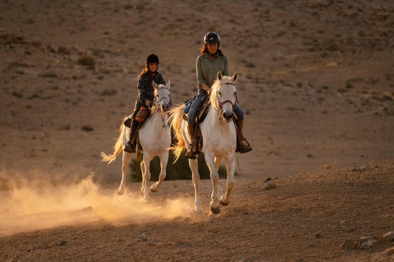 Alpaca Farm - חוות האלפקות Villa Mitzpe Ramon Eksteriør bilde