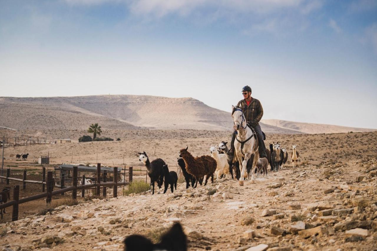 Alpaca Farm - חוות האלפקות Villa Mitzpe Ramon Eksteriør bilde