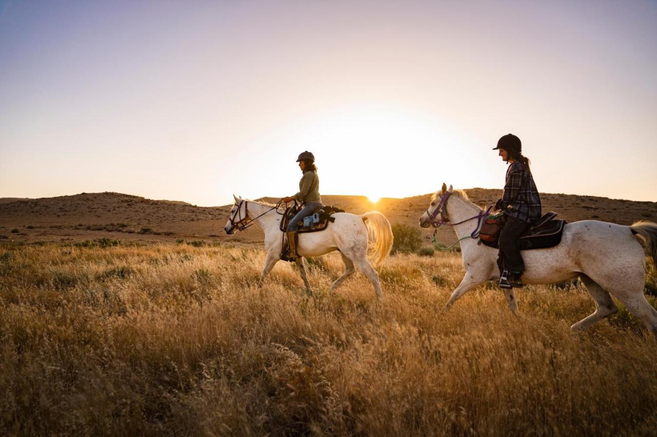 Alpaca Farm - חוות האלפקות Villa Mitzpe Ramon Eksteriør bilde