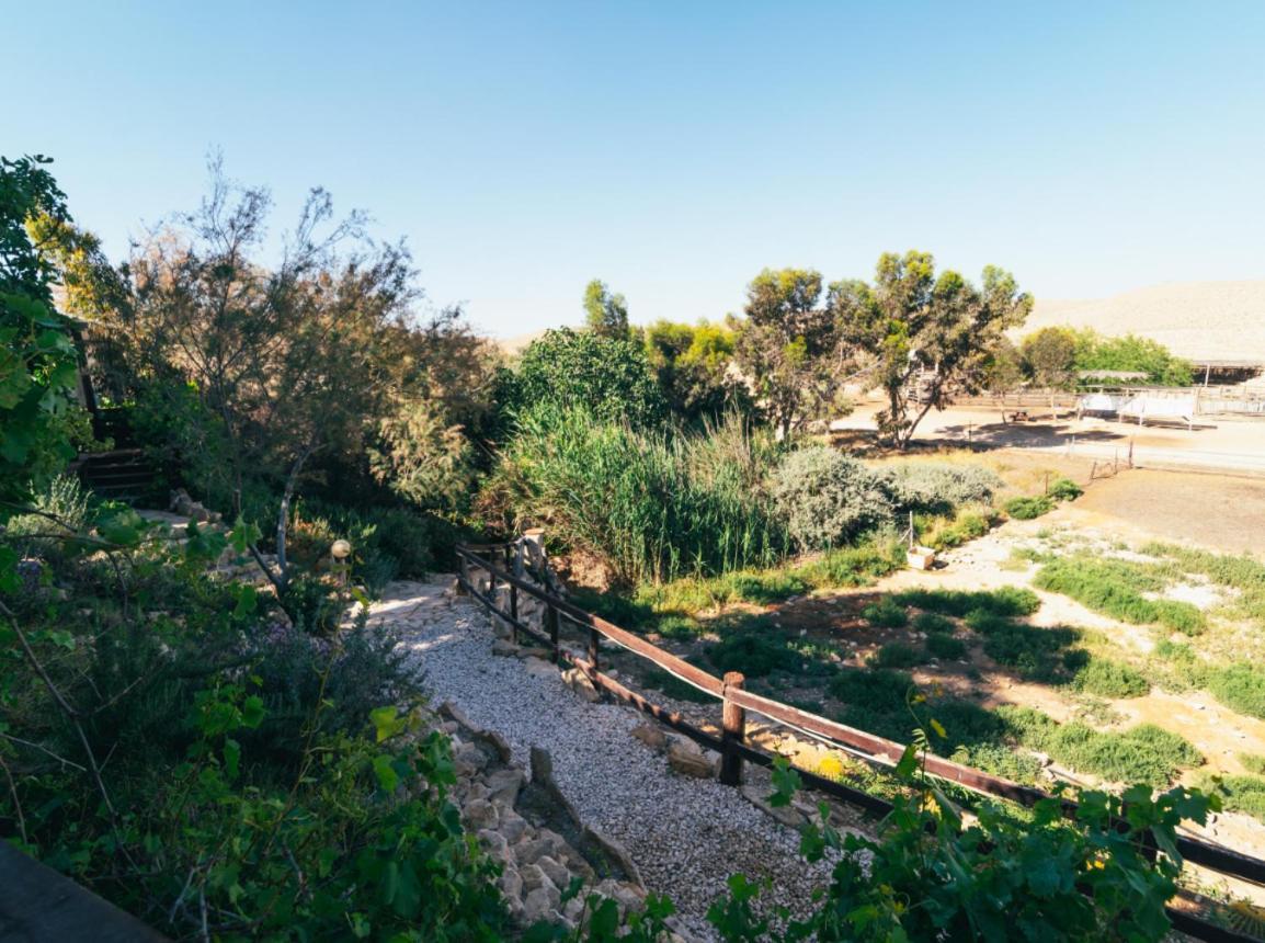 Alpaca Farm - חוות האלפקות Villa Mitzpe Ramon Eksteriør bilde