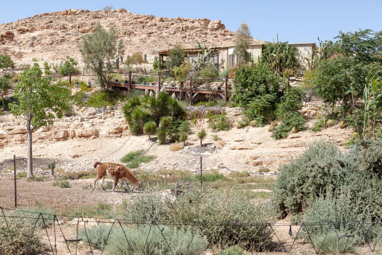 Alpaca Farm - חוות האלפקות Villa Mitzpe Ramon Eksteriør bilde