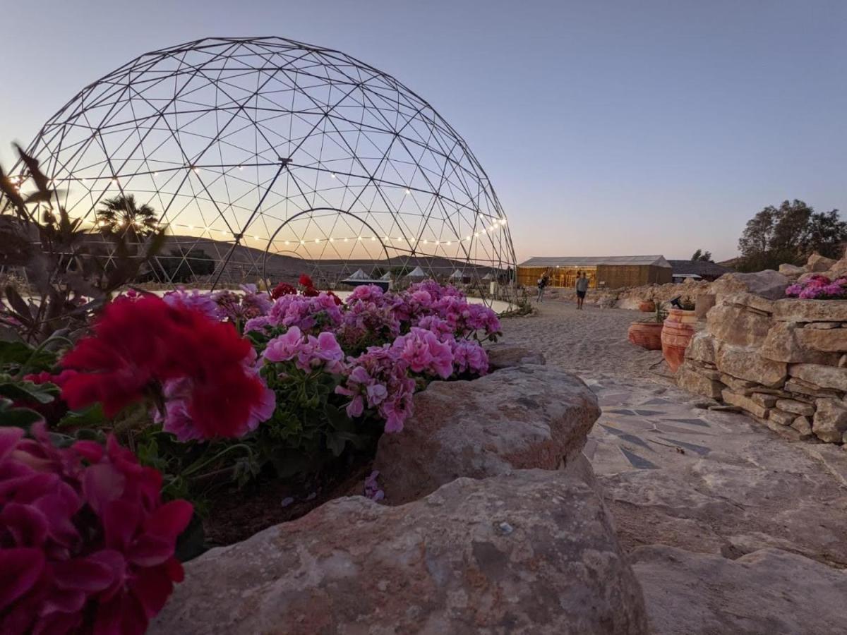 Alpaca Farm - חוות האלפקות Villa Mitzpe Ramon Eksteriør bilde