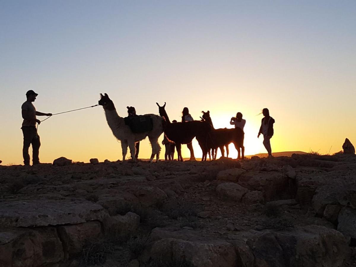 Alpaca Farm - חוות האלפקות Villa Mitzpe Ramon Eksteriør bilde