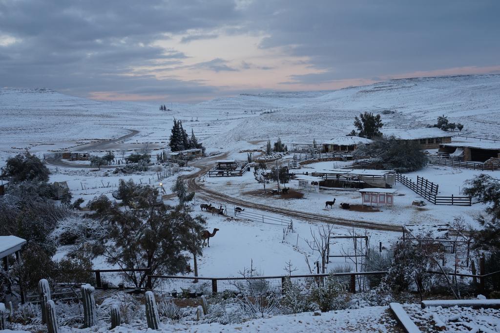 Alpaca Farm - חוות האלפקות Villa Mitzpe Ramon Eksteriør bilde