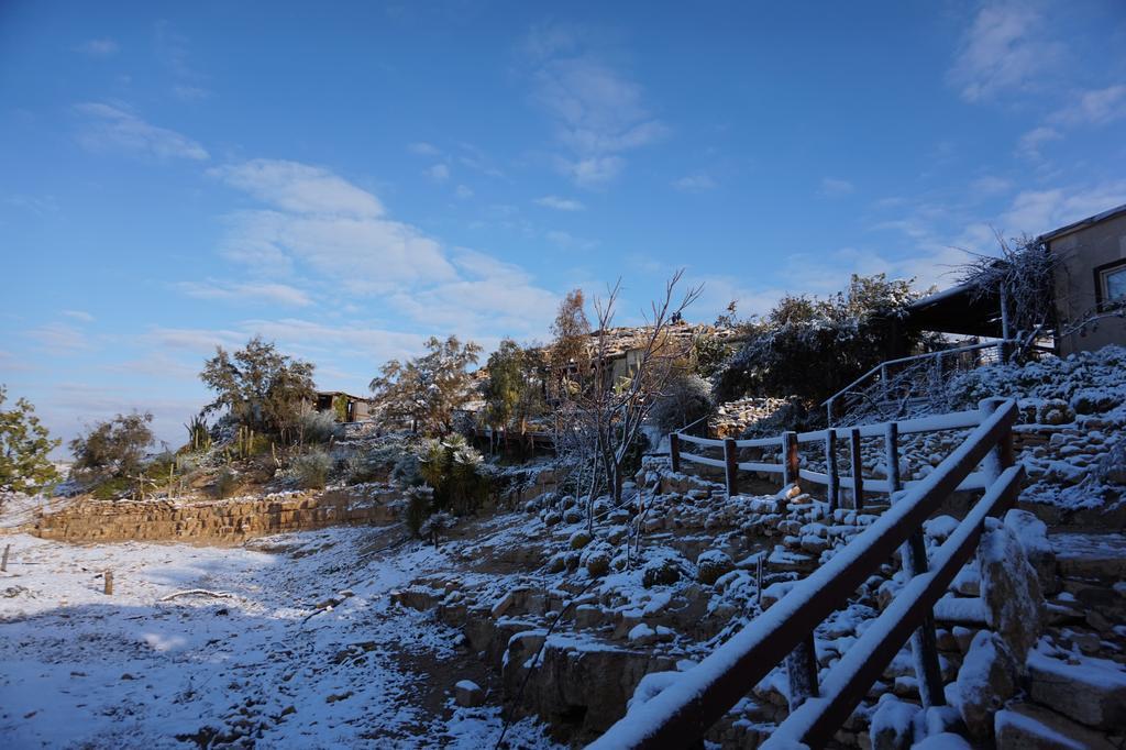 Alpaca Farm - חוות האלפקות Villa Mitzpe Ramon Eksteriør bilde