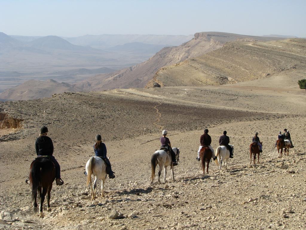 Alpaca Farm - חוות האלפקות Villa Mitzpe Ramon Eksteriør bilde