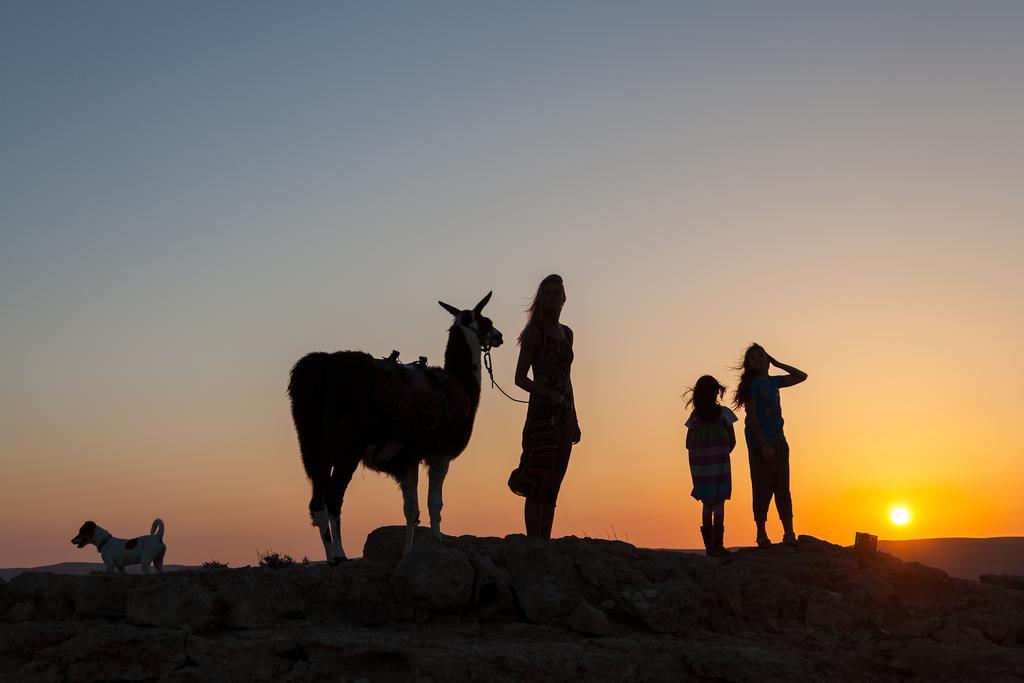 Alpaca Farm - חוות האלפקות Villa Mitzpe Ramon Eksteriør bilde