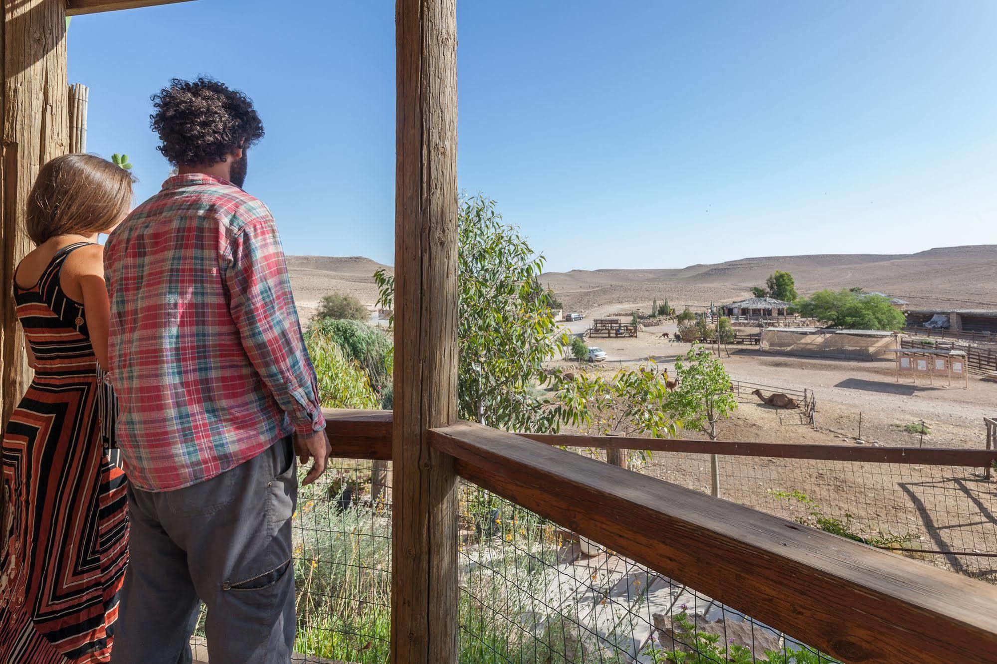 Alpaca Farm - חוות האלפקות Villa Mitzpe Ramon Eksteriør bilde