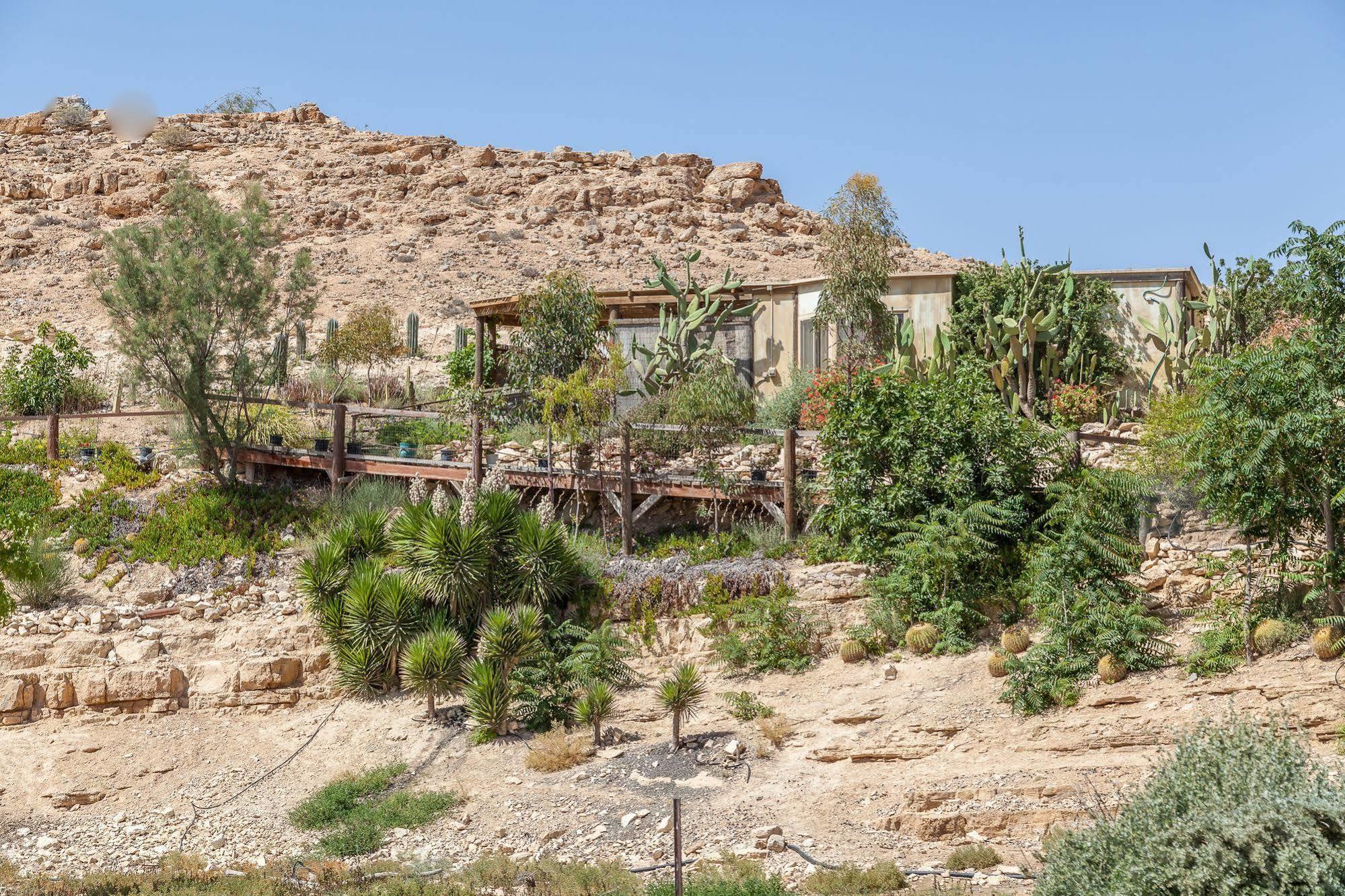 Alpaca Farm - חוות האלפקות Villa Mitzpe Ramon Eksteriør bilde